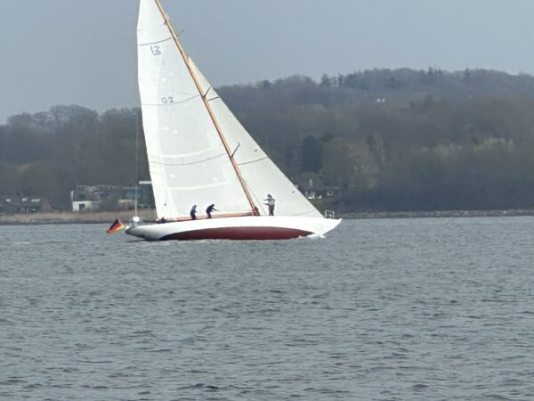 IMG_2802.jpeg