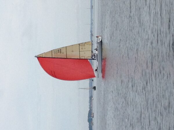 IMG_7990.jpeg